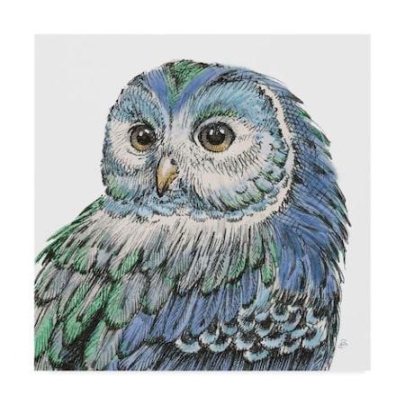 Daphne Brissonnet 'Beautiful Owls I Peacock Crop' Canvas Art,18x18